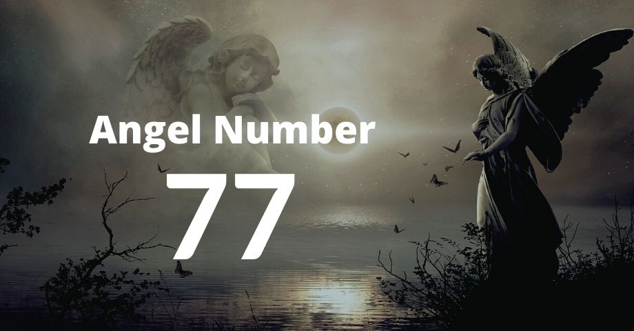 Keep Seeing the 77 Angel Number 77 Angel Number Meaning.